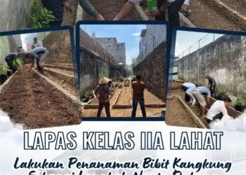 tanam kangkung lapas lahat
