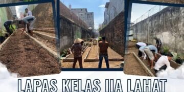 tanam kangkung lapas lahat