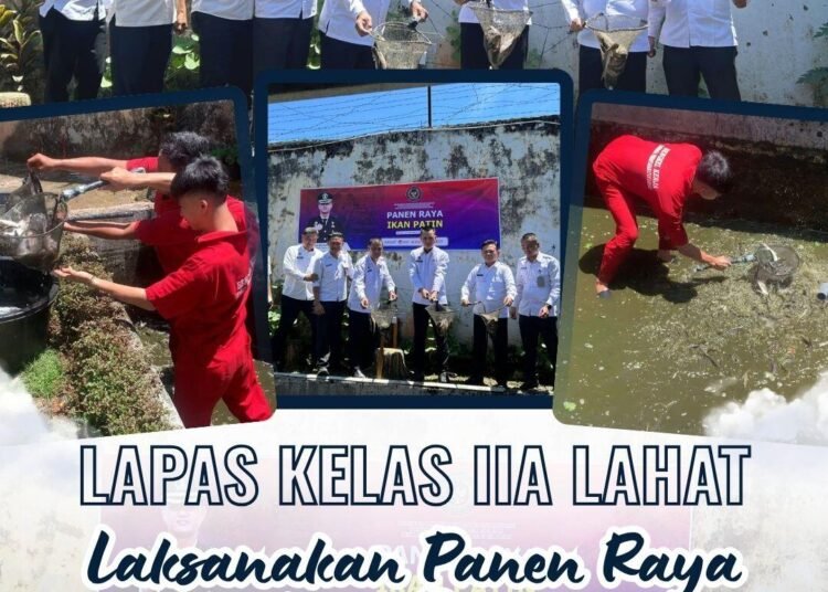 Lapas Kelas IIA Lahat Gelar Panen Raya Ikan Patin Dukung Program Ketahanan Pangan Pemasyarakatan 46 panen raya patin lp lahat