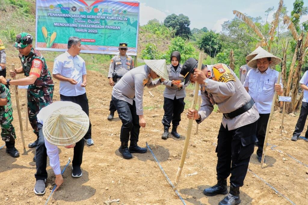 Bareng Petani, Kapolres Barru Menanam Jagung di Barru 2 Dalam upaya mendukung program swasembada pangan nasional 2025, Kapolres Barru AKBP Ananda Fauzi Harahap, S.I.K., M.H., bersama Forkopimda Kabupaten Barru
