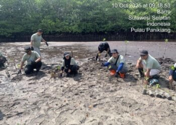 Kapolsek Balusu memimpin langsung penanaman mangrove di pesisir, sebagai bentuk komitmen menjaga ekosistem pantai dan mendukung lingkungan yang lebih hijau.
