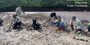 Kapolsek Balusu memimpin langsung penanaman mangrove di pesisir, sebagai bentuk komitmen menjaga ekosistem pantai dan mendukung lingkungan yang lebih hijau.