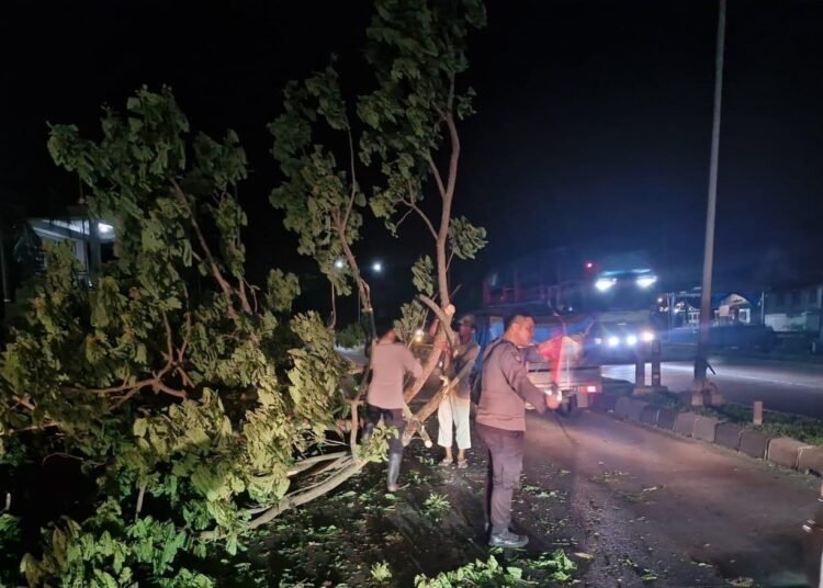 Sebuah pohon besar tumbang menutupi jalan poros Desa Madello, Barru. Namun, gelap malam tak menghalangi semangat polisi dan warga untuk bergotong royong membersihkan jalan.
