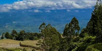 Pembuatan E-booklet Sebagai Media Promosi Potensi Desa Wisata di Lembang Ma'dong Toraja Utara 28 IMG 20251017 WA0045 2