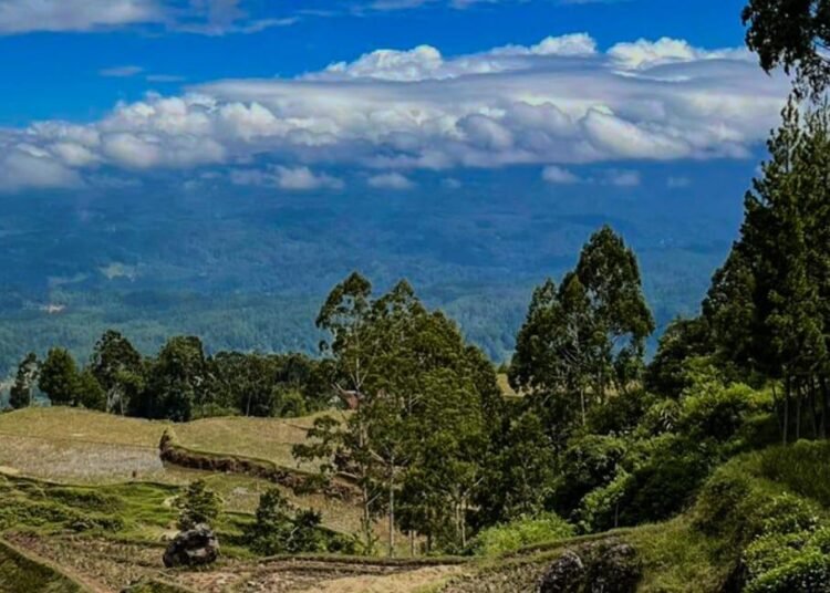Pembuatan E-booklet Sebagai Media Promosi Potensi Desa Wisata di Lembang Ma'dong Toraja Utara 46 IMG 20251017 WA0045 2