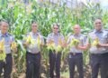 Lapas Arga Makmur Gelar Panen Jagung Manis sebagai Wujud Dukungan terhadap Program Ketahanan Pangan 48 IMG 20251027 WA0022