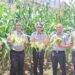 Lapas Arga Makmur Gelar Panen Jagung Manis sebagai Wujud Dukungan terhadap Program Ketahanan Pangan 59 IMG 20251027 WA0022
