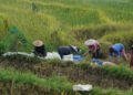 Agritech