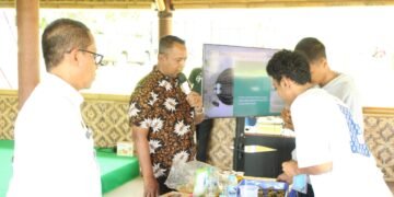 IMG 9337 1