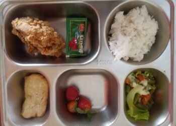 MBG Makan Bergizi Gratis