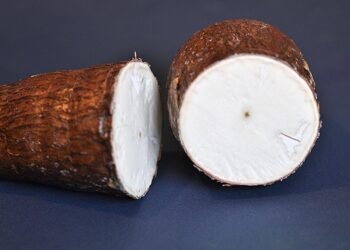 🌿 Dari Singkong Jadi Tepung Mocaf: Bukti Nyata Agroindustri Mengubah Wajah Pertanian Indonesia 46 singkong Tepung Mocaf