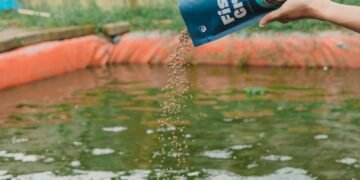 Pakan Ikan Organik Fishgrow