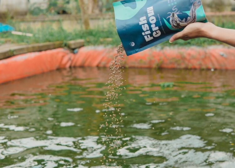 Pakan Ikan Organik Fishgrow 46 Pakan Ikan Organik Fishgrow