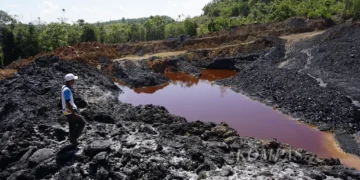 Petugas Waduk Samboja sedang meninjau tambang batu bara ilegal yang memasuki kawasan hijau waduk, Senin (21/10/2019).