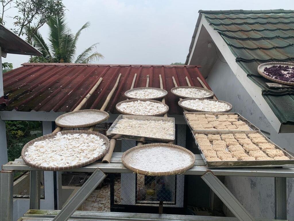 Dulu Dijual ke Tengkulak Rp600/kg, Kini Singkong Petani Cikarawang Bernilai Ekspor 50 WhatsApp Image 2025 09 21 at 23.05.01 9fee451c