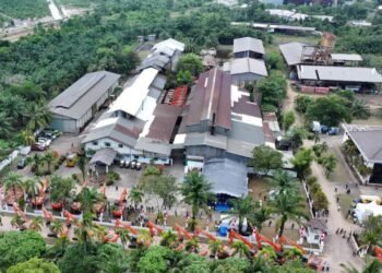 WhatsApp Image 2025 10 06 at 14.26.27