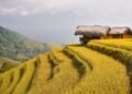 Agroindustri