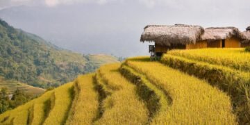 Agroindustri