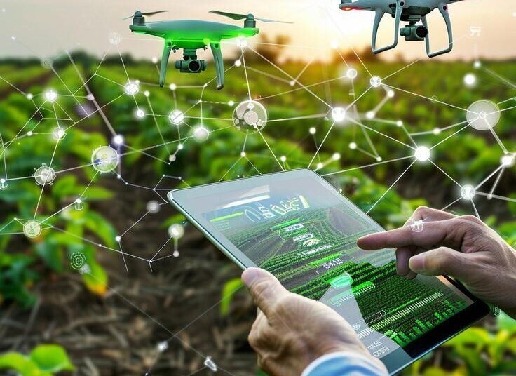 WhatsApp Image 2025 10 12 at 23.23.53 7fb6eafc