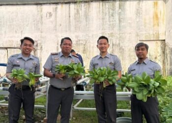 WhatsApp Image 2025 10 13 at 09.16.10