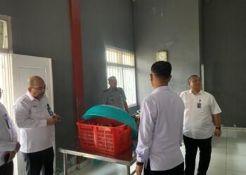 WhatsApp Image 2025 10 13 at 15.31.43