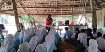 proses bimbingan literasi