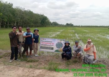 Patriot Undip dan BPP Kec. Rawa Pitu Uji Coba Tricodherma s.p dan Pupuk Organik Cair untuk Lahan yang Kurang Produktif 46 Pupuk Organik Cair