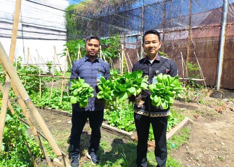 Hasil Panen Meningkat Jadi Bukti Keberhasilan Program Ketahanan Pangan Rutan Bengkulu 46 Rutan Bengkulu