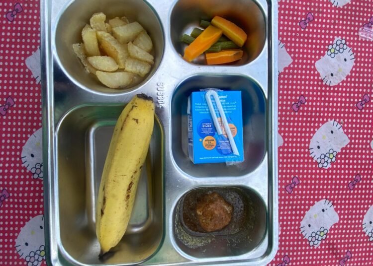 Apakah Program Makan Bergizi Gratis Efektif? 46 makan bergizi gratis