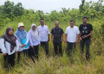 WhatsApp Image 2025 10 29 at 11.46.00 2