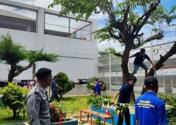 Lapas Bengkulu, Hilmawan Indra Waskito, Kesatuan Pengamanan, Pemangkasan Pohon, Lingkungan Lapas, Warga Binaan, Kamtib Lapas, Kemenkumham Bengkulu