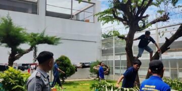 Lapas Bengkulu, Hilmawan Indra Waskito, Kesatuan Pengamanan, Pemangkasan Pohon, Lingkungan Lapas, Warga Binaan, Kamtib Lapas, Kemenkumham Bengkulu