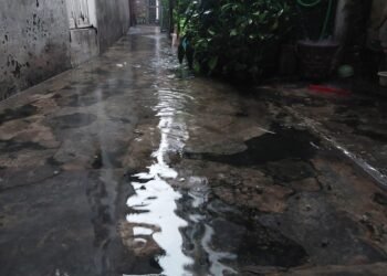 Foto tersebut menunjukkan genangan air di depan sebuah rumah, kemungkinan setelah hujan. Air menutupi sebagian besar area paving atau semen di halaman, memantulkan sedikit cahaya langit. Di sisi kanan, terlihat beberapa tanaman dalam pot dan semak-semak, serta bagian dari dinding rumah dengan cat yang mengelupas. Di sisi kiri, ada dinding bangunan lain yang juga menunjukkan tanda-tanda keausan. Suasana tampak lembap dan mendung.