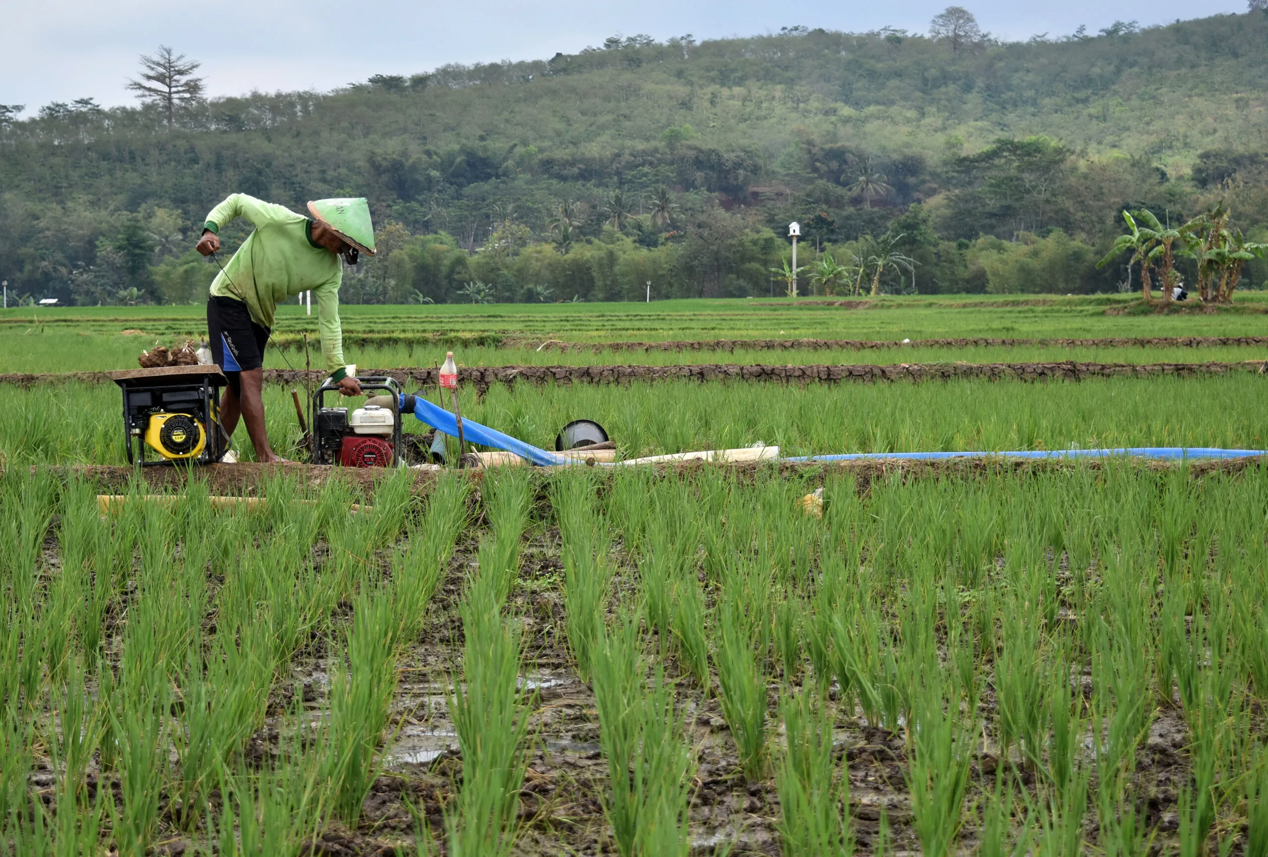 Agroindustri: Solusi Produktivitas Dan Ekonomi Pertanian Nasional 47 antarafoto mengairi sawah saat kemarau 250917 app 1 scaled 1