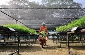 Agroindustri