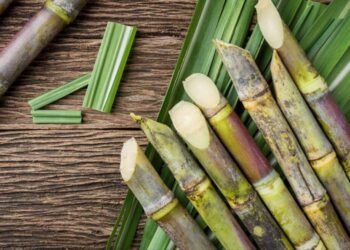 cadcc7b8 056b 4bcf 84be 41cc8b9fbaa4