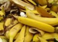 Kulit Pisang | Pinterest https://pin.it/3OhaS7rD0
