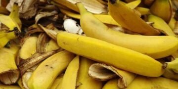 Kulit Pisang | Pinterest https://pin.it/3OhaS7rD0