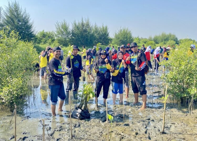TAGANA Kabupaten Kendal Ikuti Penanaman Mangrove Serentak “Mageri Segoro” Provinsi Jawa Tengah Tahun 2025 46 e8e744bd d504 4492 9fb1 2544e6a4a464