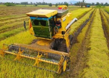 Pemanfaatan Teknologi Fermentasi dalam Agroindustri Ramah Lingkungan di Indonesia 46 foto PIP