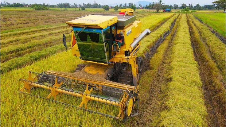 Pemanfaatan Teknologi Fermentasi dalam Agroindustri Ramah Lingkungan di Indonesia 46 foto PIP