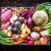 Top view of a large group of multicolored fresh organic roots, legumes and tubers shot on a rustic wooden crate surrounded by soil. The composition includes potatoes, Spanish onions, ginger, purple carrots, yucca, beetroot, garlic, peanuts, red potatoes, sweet potatoes, golden onions, turnips, parsnips, celeriac, fennels and radish. Low key DSLR photo taken with Canon EOS 6D Mark II and Canon EF 24-105 mm f/4L