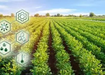 large dari hasil panen menjadi produk bernilai bagaimana peran agroindustri dalam menggerakkan pertanian indonesia EJx5uvepZY