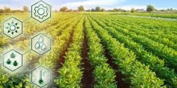 large dari hasil panen menjadi produk bernilai bagaimana peran agroindustri dalam menggerakkan pertanian indonesia EJx5uvepZY