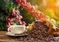large shutterstock 582329227 3d26e73af7a09a663014a4d85b68f5bd
