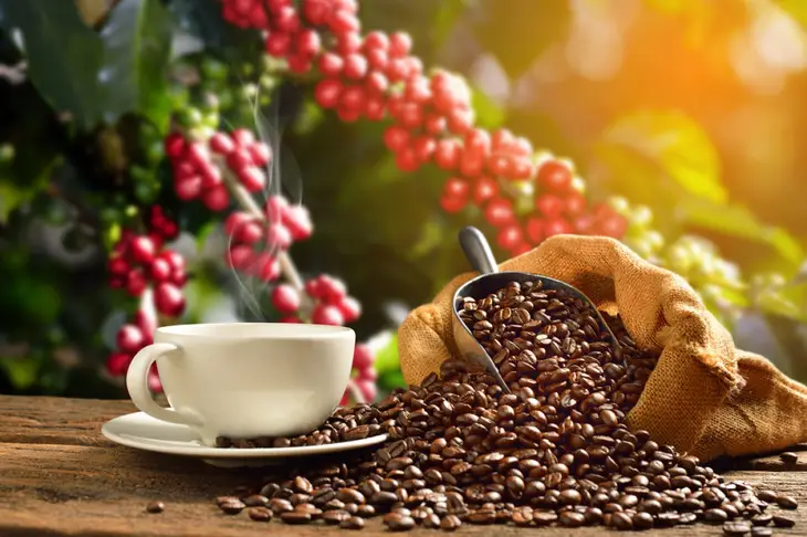 large shutterstock 582329227 3d26e73af7a09a663014a4d85b68f5bd