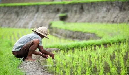 Agroindustri