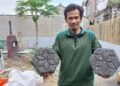 road to indonesia hijau sihir d2d06f12c80b0ef7e7abb0b04aceabbc 1