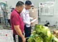 BENGKULU – Petugas dapur Lembaga Pemasyarakatan (Lapas) Kelas IIA Bengkulu melakukan pemeriksaan fisik terhadap bahan makanan yang akan diolah untuk kebutuhan konsumsi harian Warga Binaan Pemasyarakatan (WBP), Rabu (22/10). Kegiatan ini menjadi rutinitas penting untuk memastikan seluruh bahan makanan yang diterima memenuhi standar kesegaran, kelayakan, dan jumlah sesuai kebutuhan.