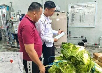 Pastikan Kualitas Konsumsi Warga Binaan, Petugas Dapur Lapas Bengkulu Lakukan Pemeriksaan Fisik Bahan Makanan 50 BENGKULU – Petugas dapur Lembaga Pemasyarakatan (Lapas) Kelas IIA Bengkulu melakukan pemeriksaan fisik terhadap bahan makanan yang akan diolah untuk kebutuhan konsumsi harian Warga Binaan Pemasyarakatan (WBP), Rabu (22/10). Kegiatan ini menjadi rutinitas penting untuk memastikan seluruh bahan makanan yang diterima memenuhi standar kesegaran, kelayakan, dan jumlah sesuai kebutuhan.